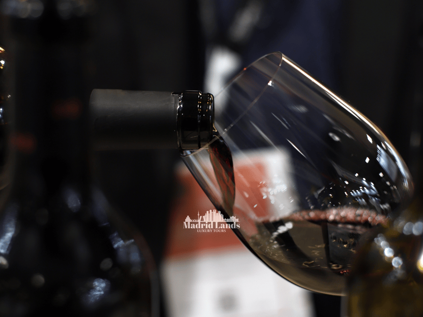 Madrid: Luxury Winery Emilio Moro Tour - The ride north from Madrid