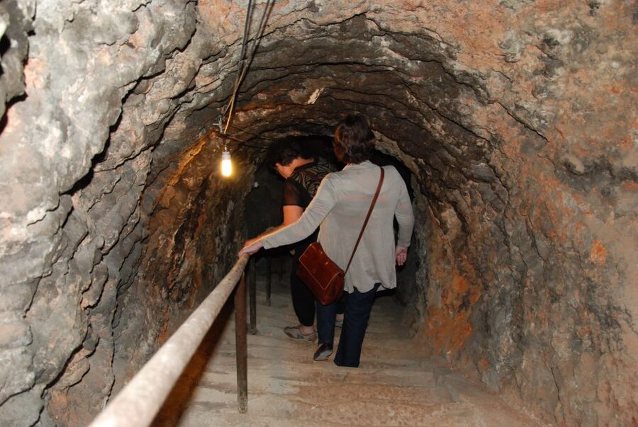 Madrid Region Wineries Guided Tour with Wine Tastings - Who should book this tour?