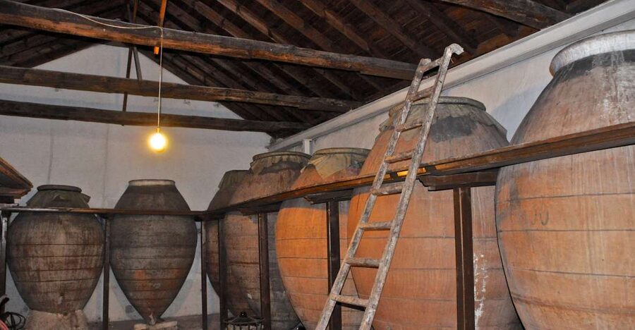 Madrid Region Wineries Guided Tour with Wine Tastings - Leaving Madrid from Conde de Casal