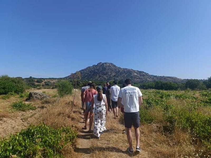 Madrid Winery Tour with Tasting & Sommelier Guide - The coach ride into the Community of Madrid