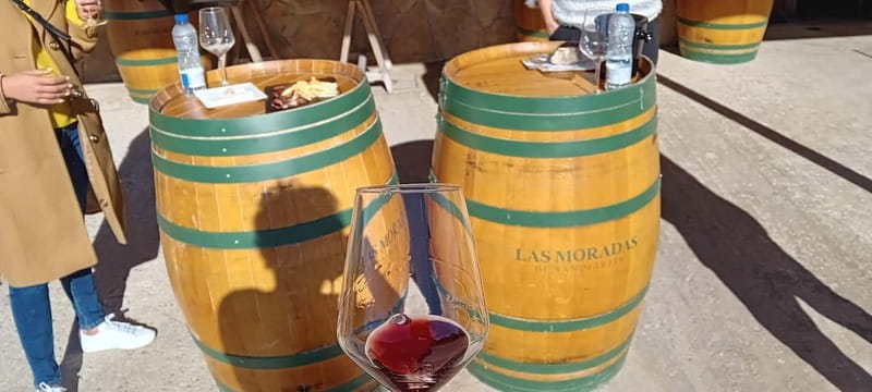Madrid Winery Tour with Tasting & Sommelier Guide - Meeting at Plaza del Marqués de Salamanca