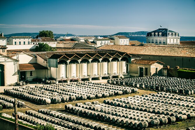 Maison Noilly Prat VIP tour, wine and vermouth tastings - From dry wine to French vermouth