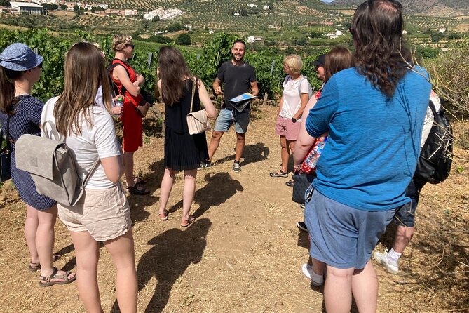 Malaga Organic Vineyard and Winery Six Wines Tapas and Transfer - Key points to know before booking