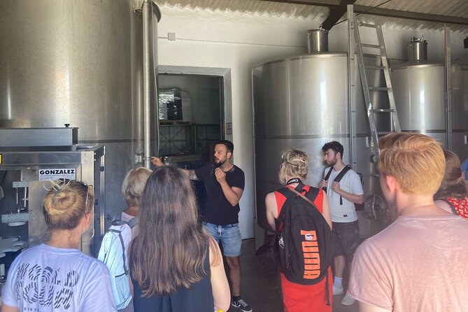 Malaga Organic Vineyard and Winery Six Wines Tapas and Transfer - A rural wine escape only 30 minutes from Malaga