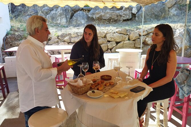 Malaga Organic Vineyard and Winery Six Wines Tapas and Transfer - Five paired bites, then a proper Spanish spread