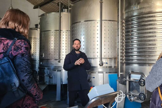 Malaga Organic Vineyard and Winery Six Wines Tapas and Transfer - The guides shape the afternoon
