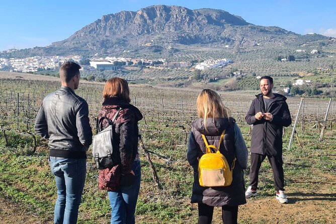 Malaga Organic Vineyard and Winery Six Wines Tapas and Transfer - Who will enjoy this wine tour most?