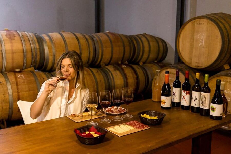 Malaga: Organic Vineyard Tour with 6 Wines, Tapas & Transfer - Key points at a glance