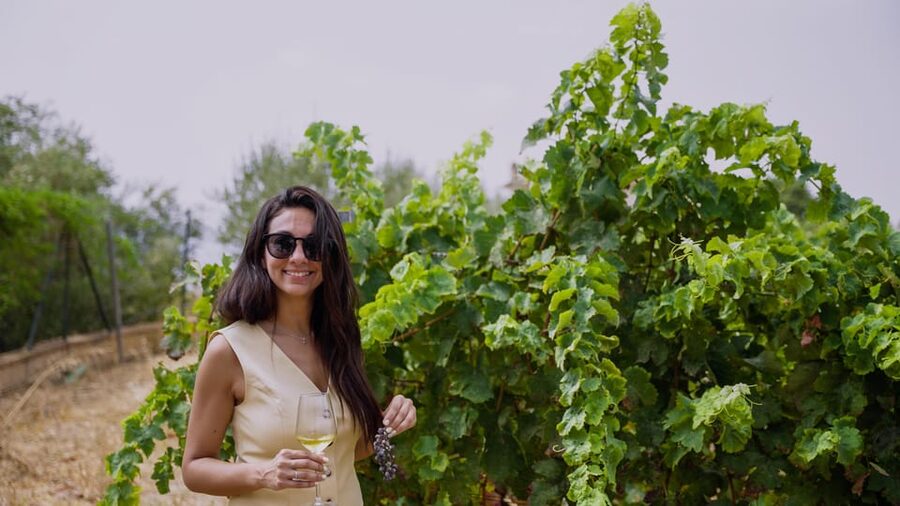 Malaga: Organic Vineyard Tour with 6 Wines, Tapas & Transfer - What kind of wine tour is this?