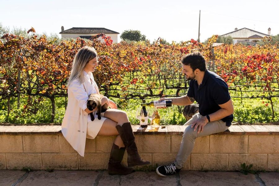 Malaga: Organic Vineyard Tour with 6 Wines, Tapas & Transfer - A short walk through Viñedo Malvajio
