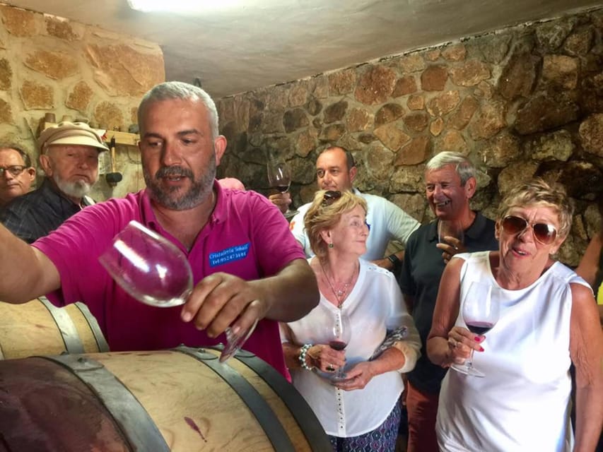Malaga: Organic Vineyard Tour with 6 Wines, Tapas & Transfer - Inside the small production cellar