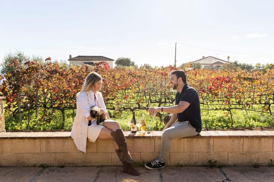 Malaga: Organic Vineyard Tour with 6 Wines, Tapas & Transfer - Six wines, with generous pours
