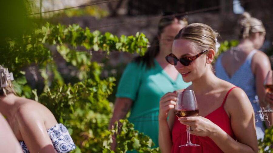 Malaga: Organic Vineyard Tour with 6 Wines, Tapas & Transfer - Leaving Málaga for the hills