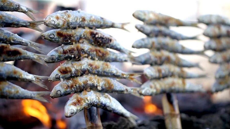 Malaga: PREMIUM TAPAS TOUR Paella, Tapas, Winery & Flamenco - Who should book this experience