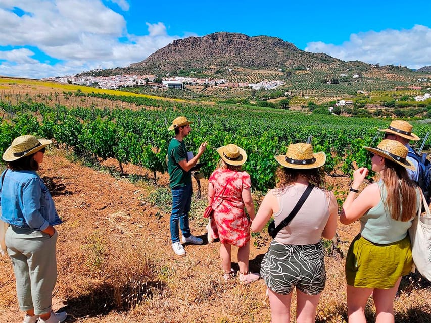 Malaga: White Village, Vineyard, and Wine Tasting Wine Tour - Why Álora makes a good change from Malaga