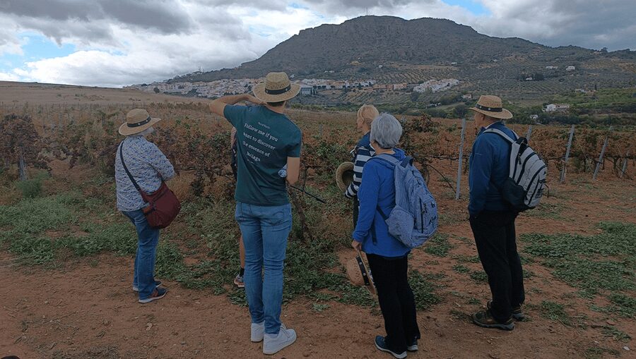 Malaga: White Village, Vineyard, and Wine Tasting Wine Tour - Bodegas Pérez Hidalgo and four local wines