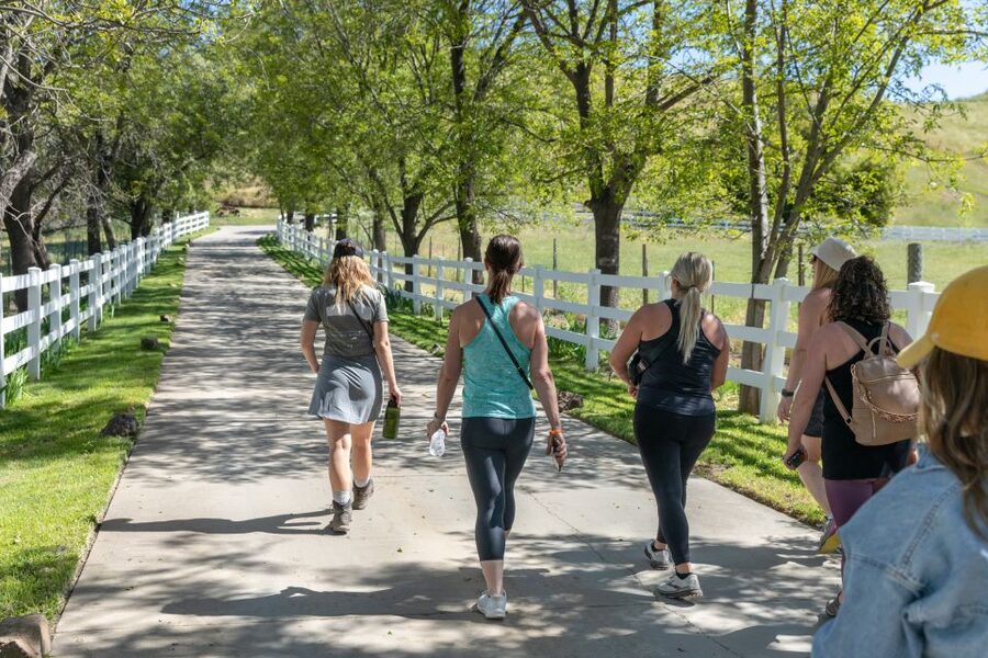 Malibu: Guided Vineyard Hike with Photo Stops and Wine - Guides can shape the entire afternoon