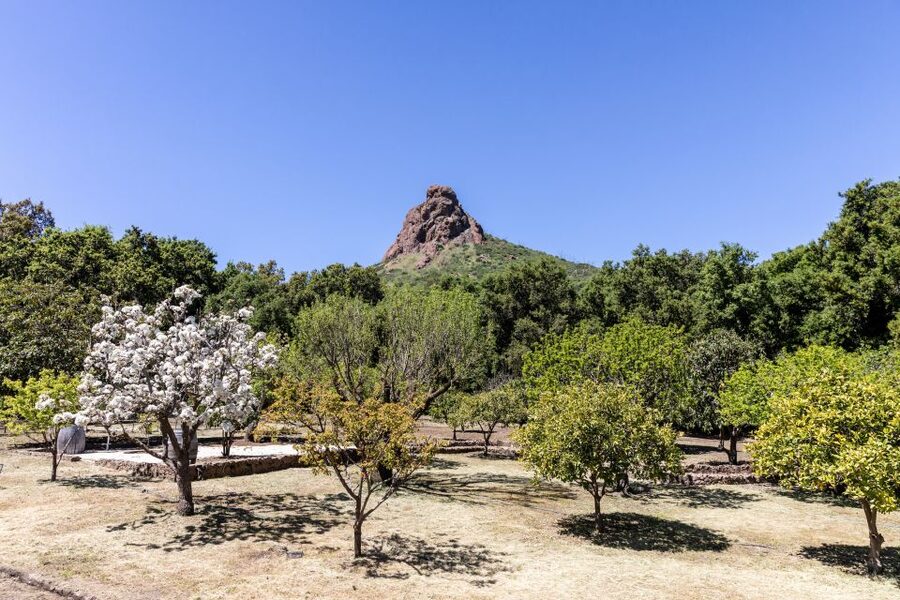 Malibu: Guided Vineyard Hike with Photo Stops and Wine - What you actually receive for $49