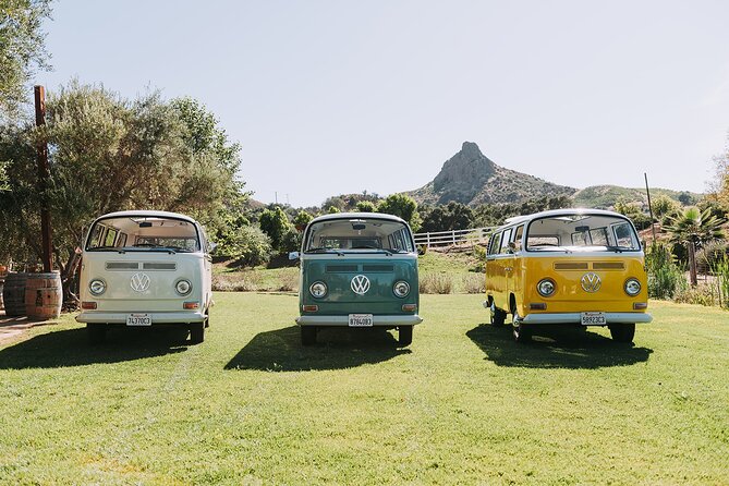 Malibu: Vintage VW Bus and Vineyard Tour - Why the Small Group Size Matters