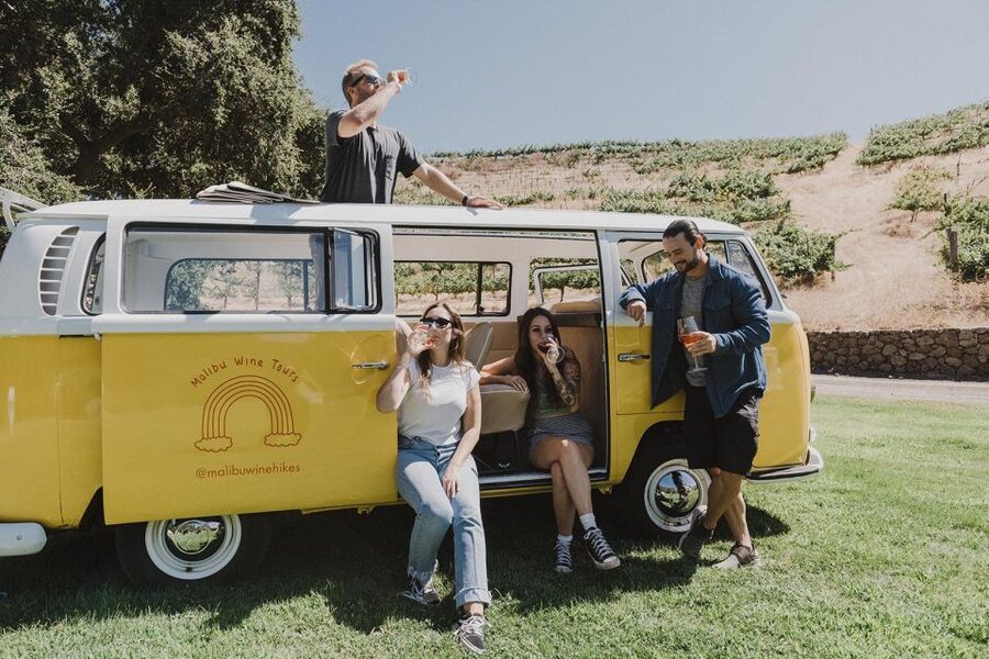 Malibu: Vintage VW Bus and Vineyard Tour - Who Will Enjoy This Tour Most?