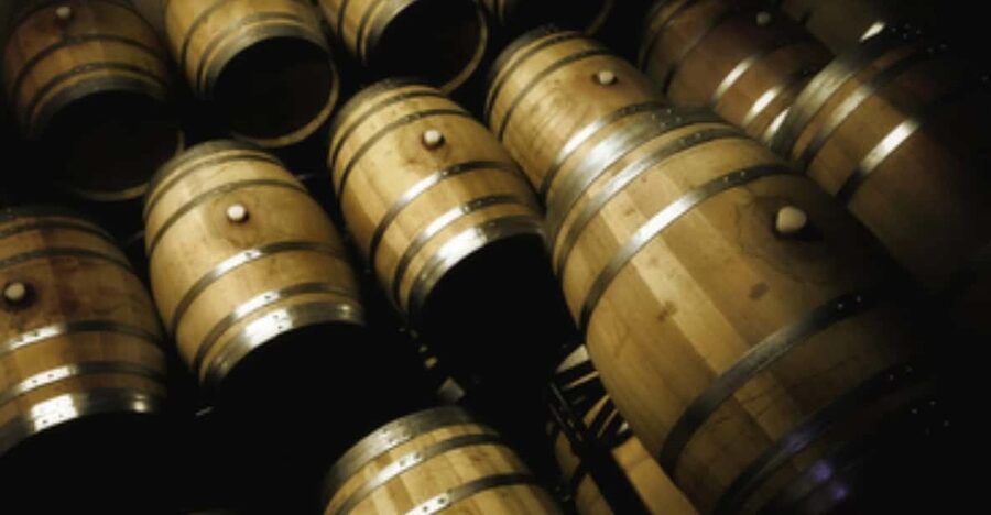 Mallorca: Bodega Butxet Vineyards & Winery Tour with Tasting - Key points to know before you book