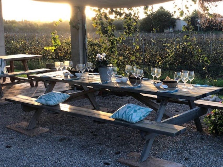 Mallorca: Bodega Butxet Vineyards & Winery Tour with Tasting - Should you book this Mallorca winery tour?