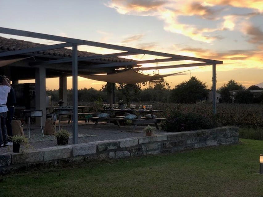 Mallorca: Bodega Butxet Vineyards & Winery Tour with Tasting - Why $26 is good value