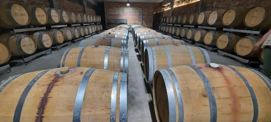 Mallorca: Bodega & Olives Minibustour with wine/oil tasting - A few practical points about the pace