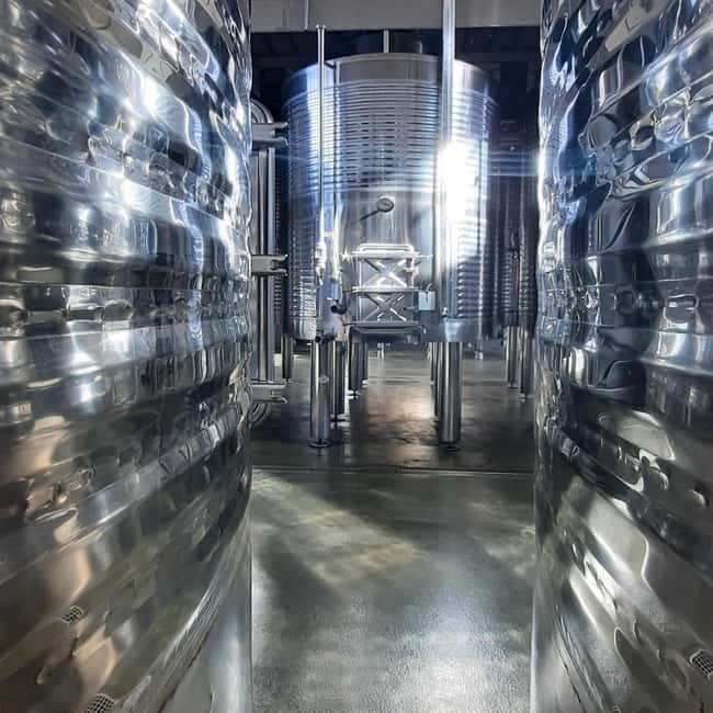Mallorca: Bodega & Olives Minibustour with wine/oil tasting - Tasting wine with local tapas