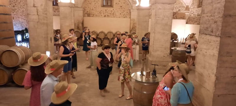 Mallorca: Bodega & Olives Minibustour with wine/oil tasting - Who will enjoy this day most