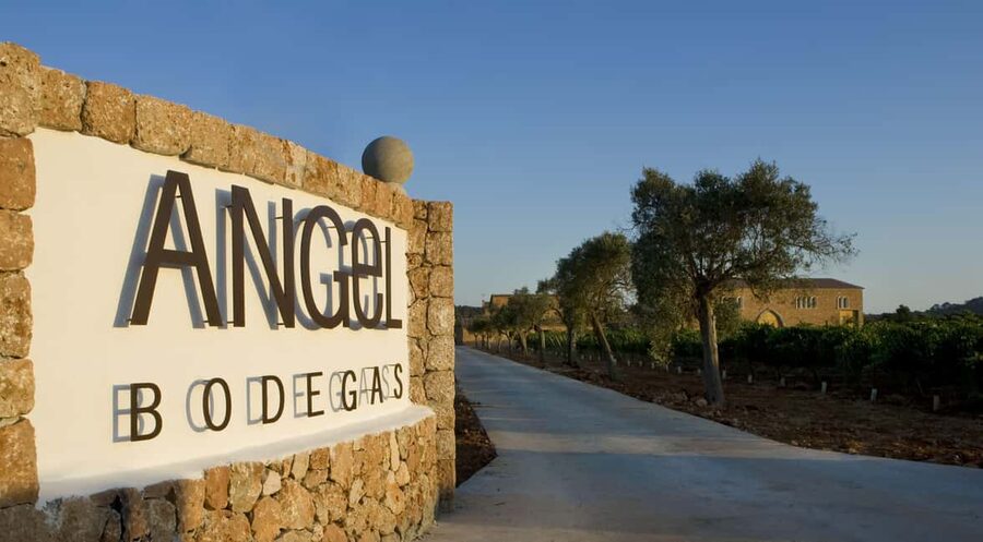 Mallorca: Bodegas Ángel Winery Tour with Wine Tasting - Key points to know before you go