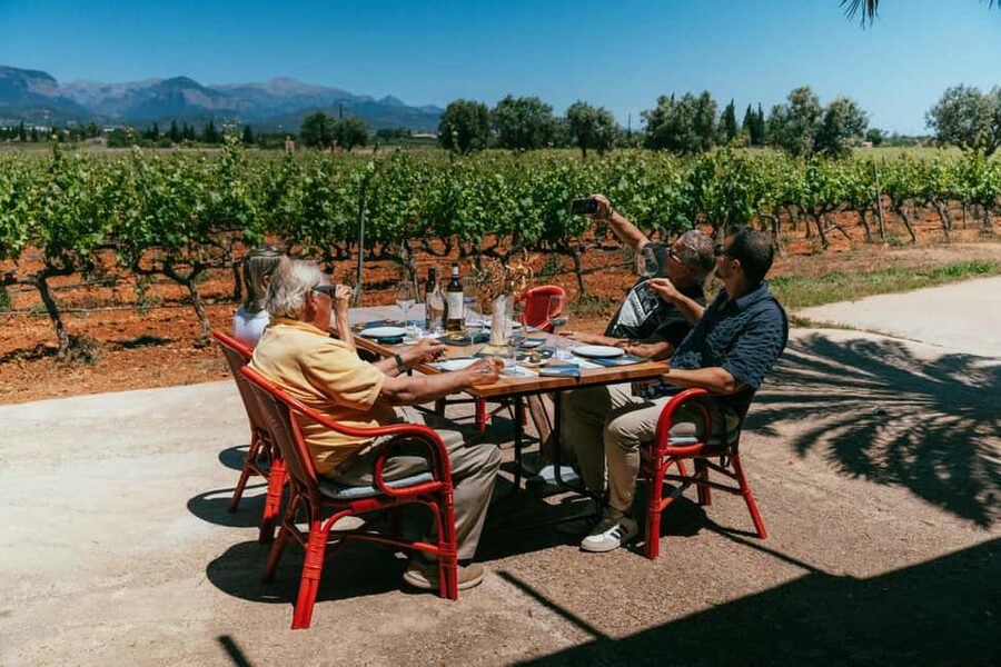 Mallorca: Bodegas Ángel Winery Tour with Wine Tasting - A two-hour introduction to Mallorca’s wine country