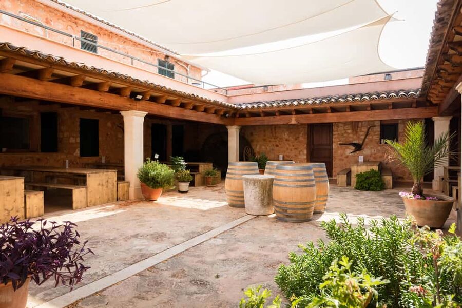 Mallorca: Bodegas Ángel Winery Tour with Wine Tasting - Tasting four wines made with Mallorcan grapes