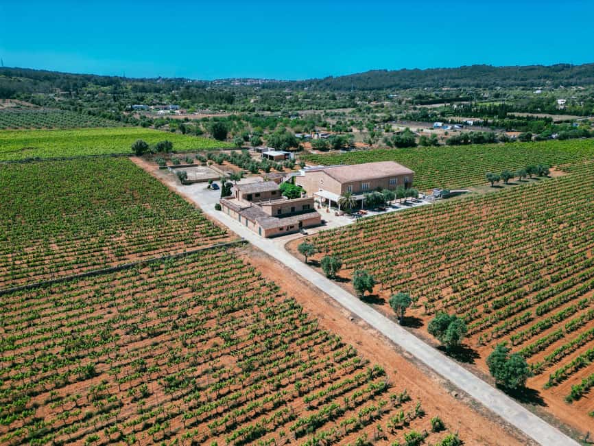 Mallorca: Bodegas Ángel Winery Tour with Wine Tasting - Crackers, homemade jams, and optional Mallorca tapas