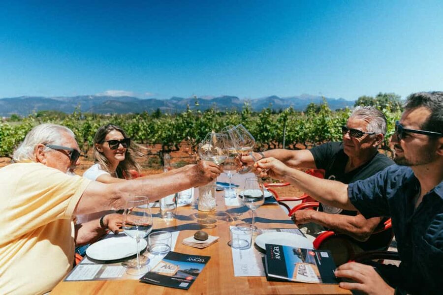 Mallorca: Bodegas Ángel Winery Tour with Wine Tasting - Walking through the vineyards and winery facilities