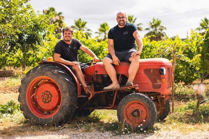 Mallorca: Visit a winery and enjoy a wine tasting, along with some Mallorcan products - Visiting 7103 Petit Celler