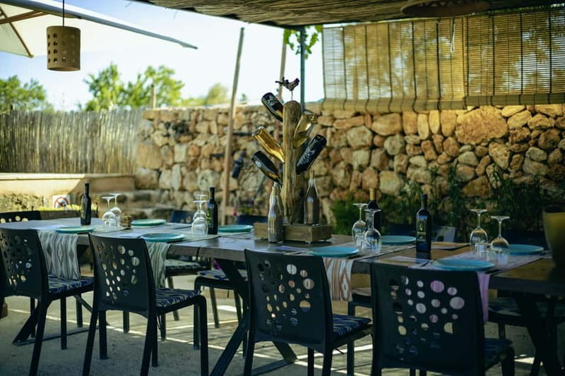Mallorca: Visit a winery and enjoy a wine tasting, along with some Mallorcan products - Who should book this experience?
