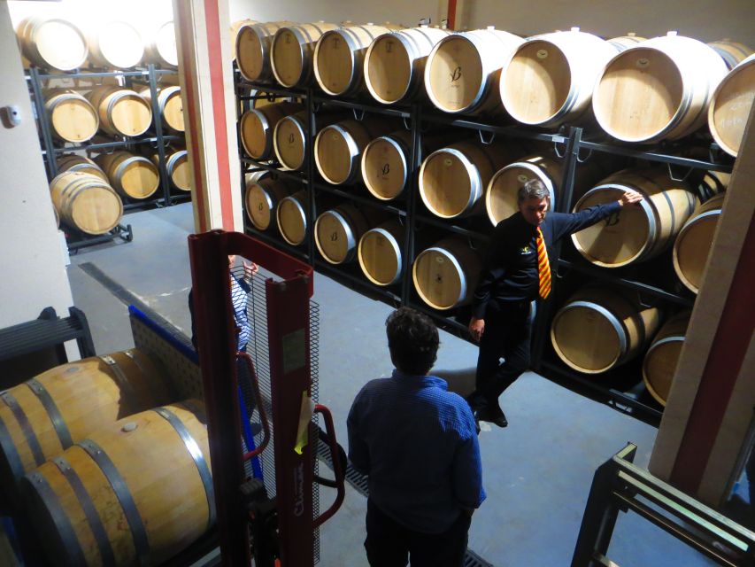 Mallorca: Wine Cellar Tour XL - 3 Wine Tastings incl. GERMAN - Key points at a glance