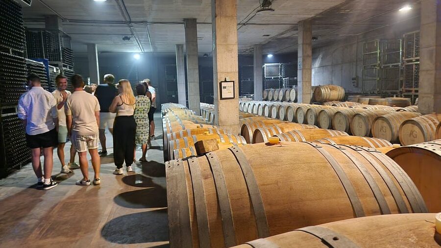 Mallorca: Wine Cellar Tour XL - 3 Wine Tastings incl. GERMAN - Stop three: a final tasting with regional food