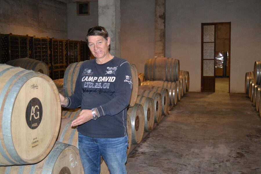 Mallorca: Wine Cellar Tour XL - 3 Wine Tastings incl. GERMAN - Tapas, olive oil, and the value of the $191 price