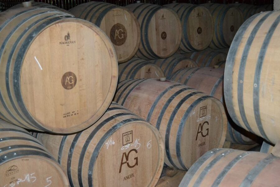 Mallorca: Wine Cellar Tour XL - 3 Wine Tastings incl. GERMAN - Who will enjoy this day most