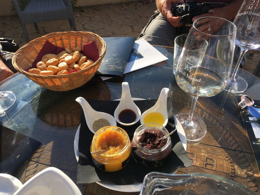 Mallorcan Family Winery Authentic Wine Tasting Experience - Who will enjoy this most