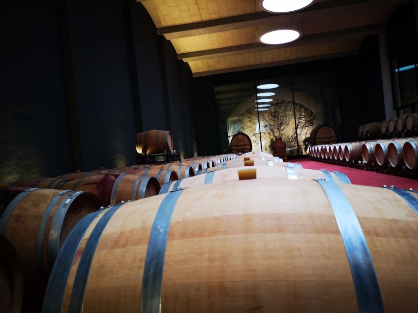Mallorcas Emblematic Wineries Small Group Tour, two wineries - What happens at Santa Maria del Camí