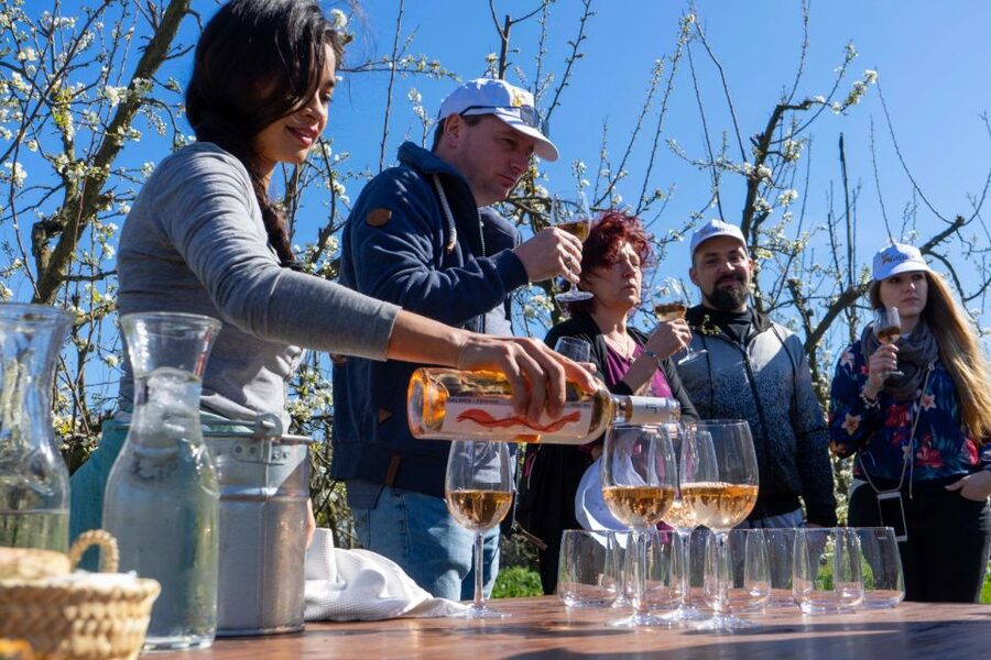 Mallorcas Emblematic Wineries Small Group Tour, two wineries - Is $159 a fair price?