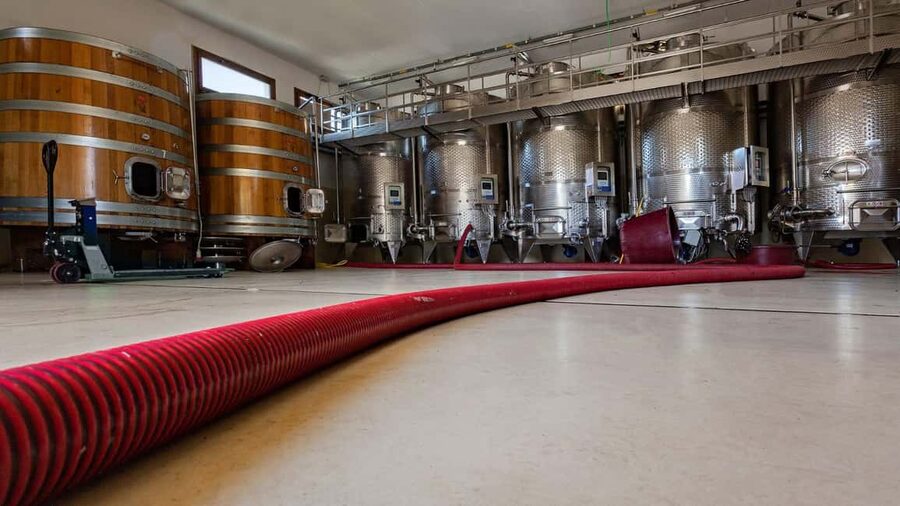 Mamoiada: visit a winery with wine tasting - Key points to know before you book