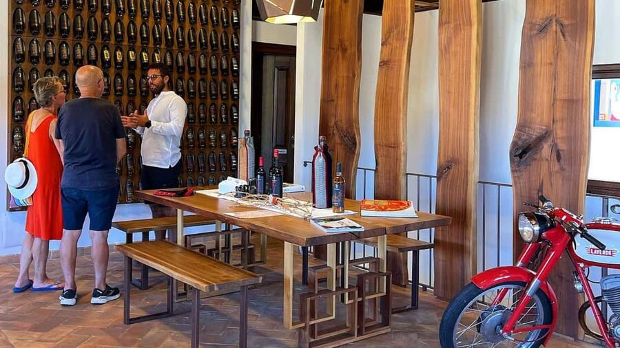 Mamoiada: visit a winery with wine tasting - Practical details for a smooth visit