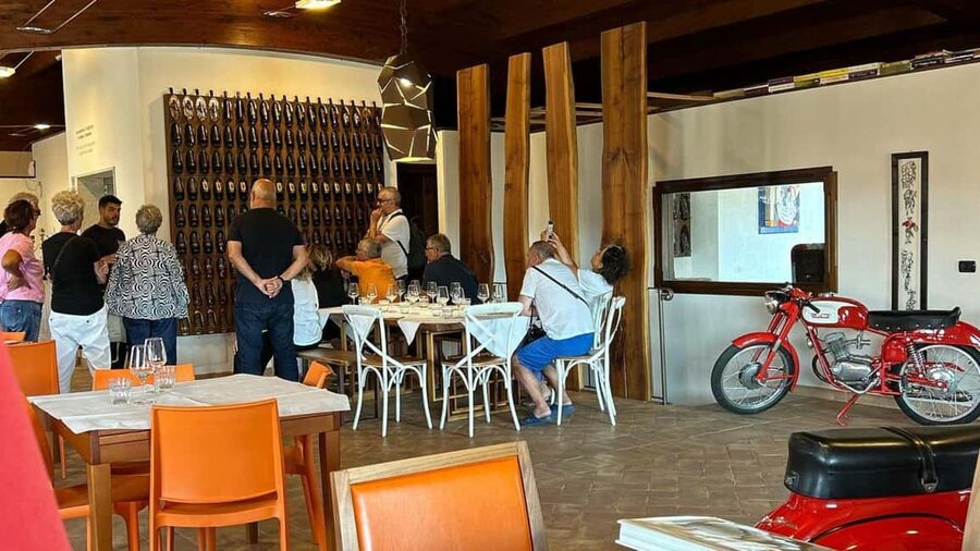 Mamoiada: visit a winery with wine tasting - Five wines with Sardinian food
