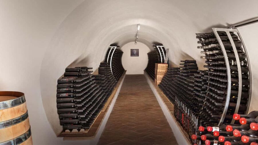 Mamoiada: visit a winery with wine tasting - What the tasting pace means for you