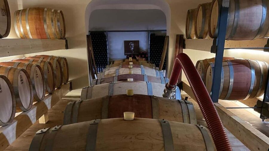 Mamoiada: visit a winery with wine tasting - Is $91 a fair price?
