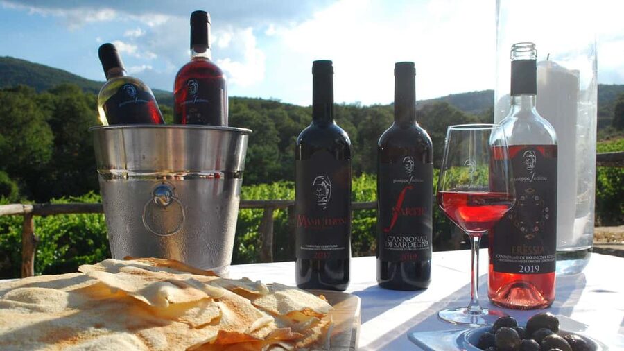 Mamoiada: visit a winery with wine tasting - Starting inside the winery